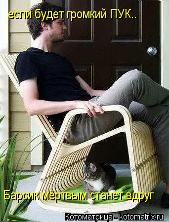 если будет громкий ПУК.. Барсик мёртвым станет вдруг... Котоматрица: если будет громкий ПУК.. Барсик мёртвым станет вдруг