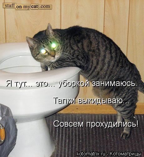 Котоматрица: Я тут... это... уборкой занимаюсь. Тапки выкидываю... Совсем прохудились!