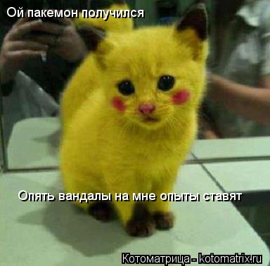 Ой пакемон получился Опять вандалы на мне опыты ставят... Котоматрица: Ой пакемон получился Опять вандалы на мне опыты ставят