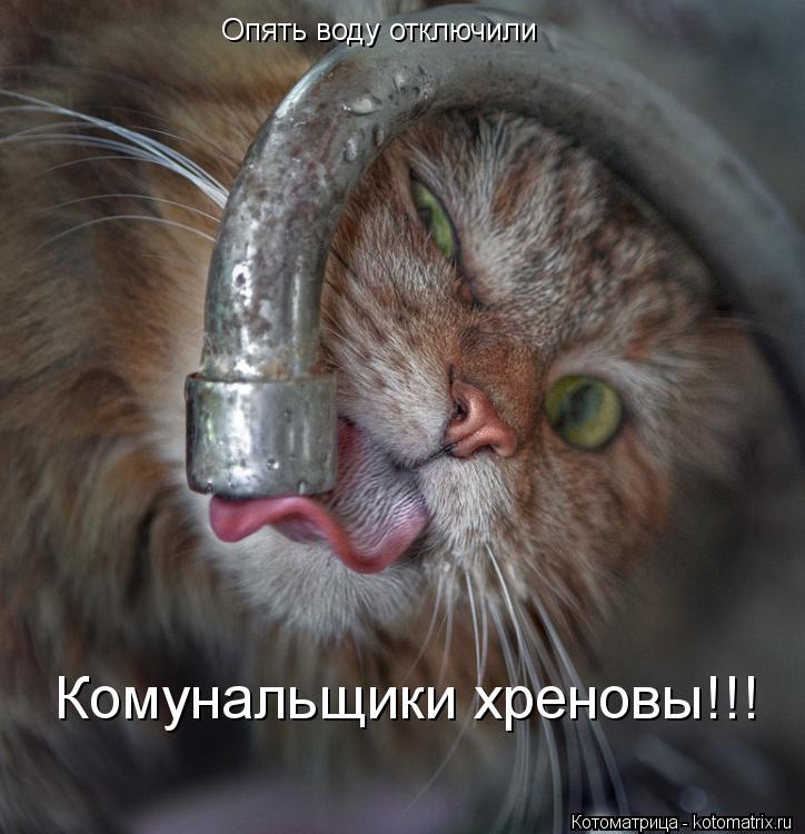 Котоматрица: Опять воду отключили Комунальщики хреновы!!!