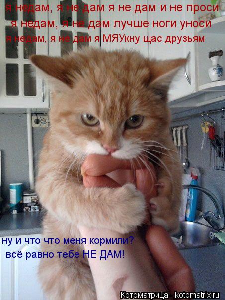 Котоматрица: я недам, я не дам я не дам и не проси я недам, я не дам лучше ноги уноси я недам, я не дам я МЯУкну щас друзьям ну и что что меня кормили? всё равн