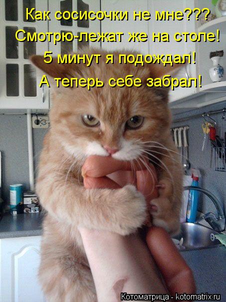 Котоматрица: Как сосисочки не мне??? Смотрю-лежат же на столе! 5 минут я подождал! А теперь себе забрал!