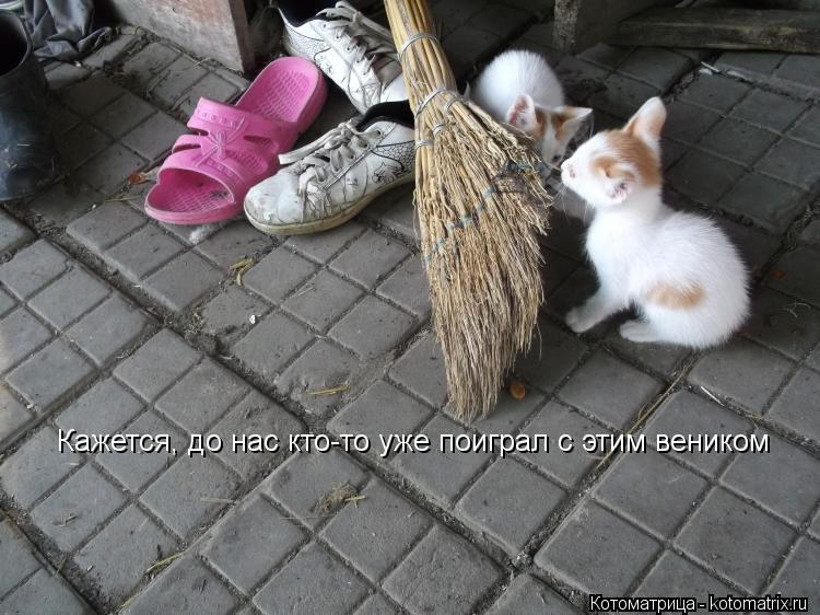 Кажется, до нас кто-то уже поиграл с этим веником... Котоматрица: Кажется, до нас кто-то уже поиграл с этим веником