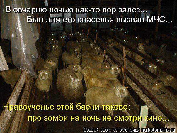 В овчарню ночью как-то вор залез... Был для его спасенья вызван МЧС... Нравоученье этой басни таково:... Котоматрица: В овчарню ночью как-то вор залез... Был для его спасенья вызван МЧС... Нравоученье этой басни таково: про зомби на ночь не смотри кино...