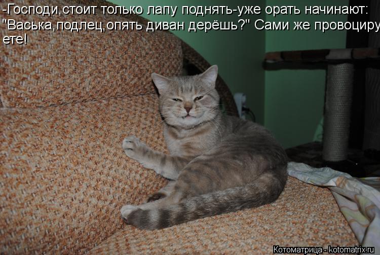 -Господи,стоит только лапу поднять-уже орать начинают: "Васька,подлец,опять диван дерёшь?" Сами же пр... Котоматрица: -Господи,стоит только лапу поднять-уже орать начинают: "Васька,подлец,опять диван дерёшь?" Сами же провоциру- ете!