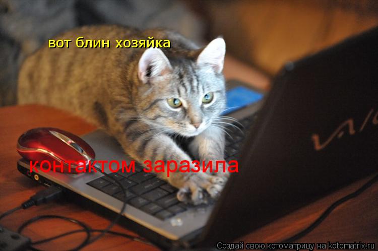 вот блин хозяйка контактом заразила... Котоматрица: вот блин хозяйка контактом заразила