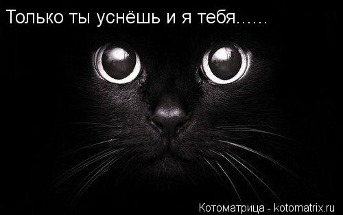 Котоматрица: Только ты уснёшь и я тебя......