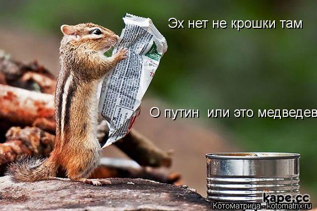 Эх нет не крошки там О путин или это медведев?... Котоматрица: Эх нет не крошки там О путин или это медведев?