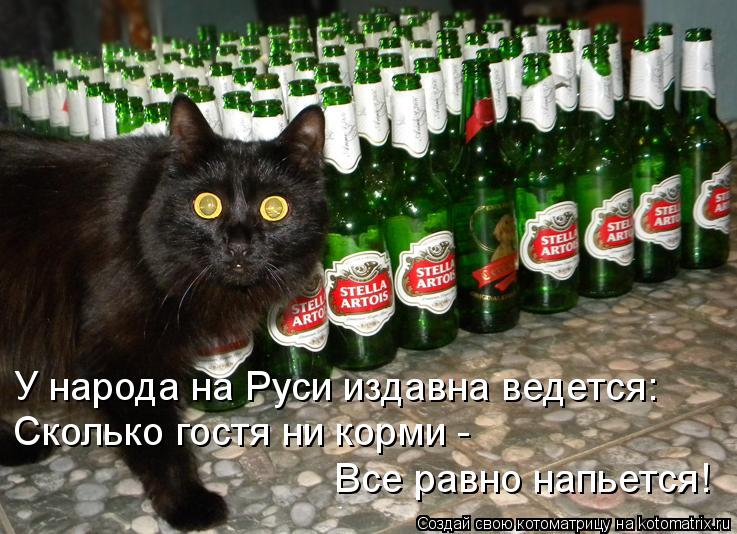 Котоматрица: У народа на Руси издавна ведется: Сколько гостя ни корми - Все равно напьется!
