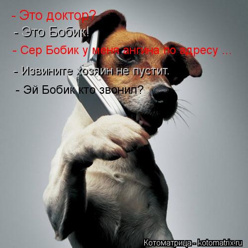 - Это доктор? - Это Бобик! - Сер Бобик у меня ангина по адресу ... - Извините хозяин не пустит. - Эй ... Котоматрица: - Это доктор? - Это Бобик! - Сер Бобик у меня ангина по адресу ... - Извините хозяин не пустит. - Эй Бобик кто звонил?