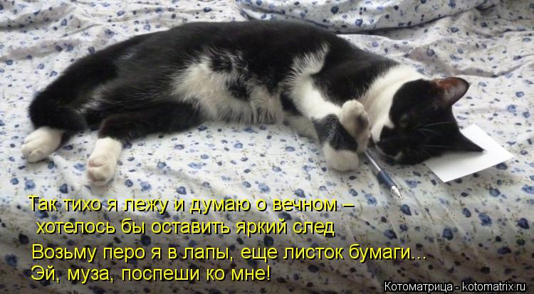 Так тихо я лежу и думаю о вечном – хотелось бы оставить яркий след Возьму перо я в лапы, еще листок ... Котоматрица: Так тихо я лежу и думаю о вечном – хотелось бы оставить яркий след Возьму перо я в лапы, еще листок бумаги... Эй, муза, поспеши ко мне!
