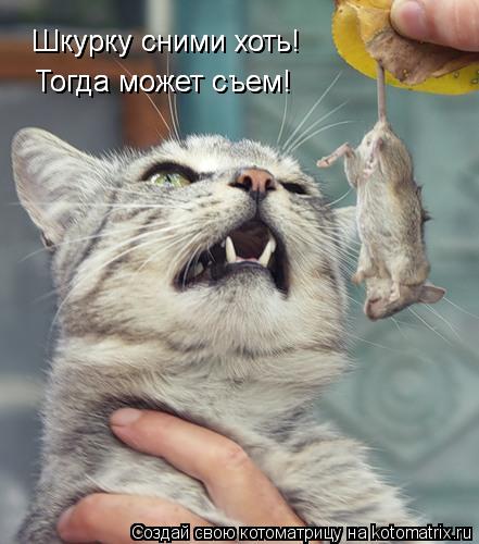 Шкурку сними хоть! Шкурку сними хоть! Тогда может съем! Тогда может съем!... Котоматрица: Шкурку сними хоть! Шкурку сними хоть! Тогда может съем! Тогда может съем!