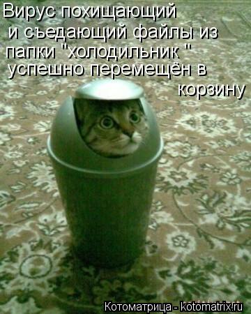Котоматрица: Вирус похищающий  и съедающий файлы из папки "холодильник "  успешно перемещён в  корзину