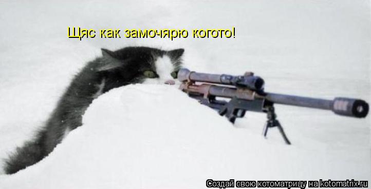 Щяс как замочярю когото!... Котоматрица: Щяс как замочярю когото!
