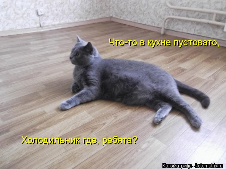 Котоматрица: Что-то в кухне пустовато, Холодильник где, ребята?