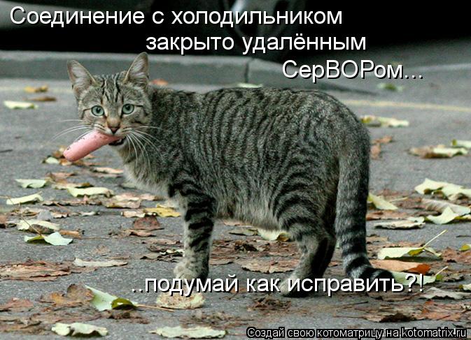 Соединение с холодильником закрыто удалённым СерВОРом... ..подумай как исправить?!... Котоматрица: Соединение с холодильником закрыто удалённым СерВОРом... ..подумай как исправить?!