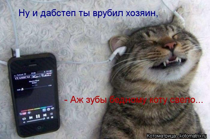 Ну и дабстеп ты врубил хозяин, - Аж зубы бедному коту свело...... Котоматрица: Ну и дабстеп ты врубил хозяин, - Аж зубы бедному коту свело...