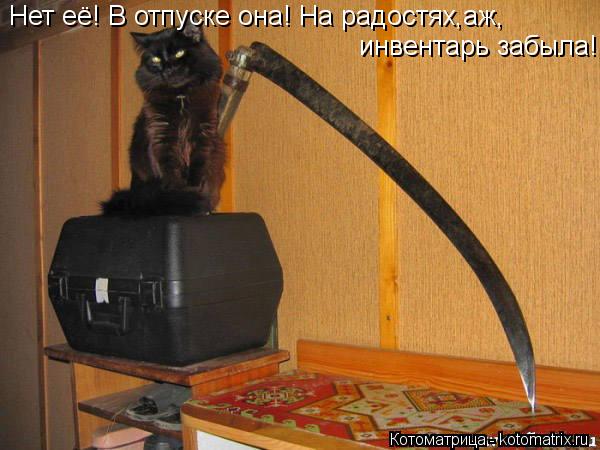 Нет её! В отпуске она! На радостях,аж, инвентарь забыла!... Котоматрица: Нет её! В отпуске она! На радостях,аж, инвентарь забыла!