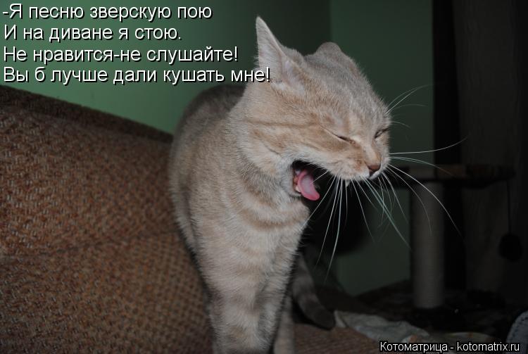 -Я песню зверскую пою И на диване я стою. Не нравится-не слушайте! Вы б лучше дали кушать мне!... Котоматрица: -Я песню зверскую пою И на диване я стою. Не нравится-не слушайте! Вы б лучше дали кушать мне!