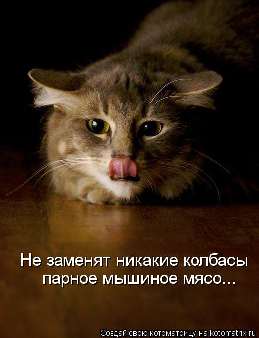 Не заменят никакие колбасы парное мышиное мясо...... Котоматрица: Не заменят никакие колбасы парное мышиное мясо...