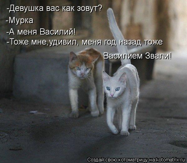 Котоматрица: -Девушка вас как зовут? -Мурка -А меня Василий! -Тоже мне,удивил, меня год назад тоже Василием Звали!