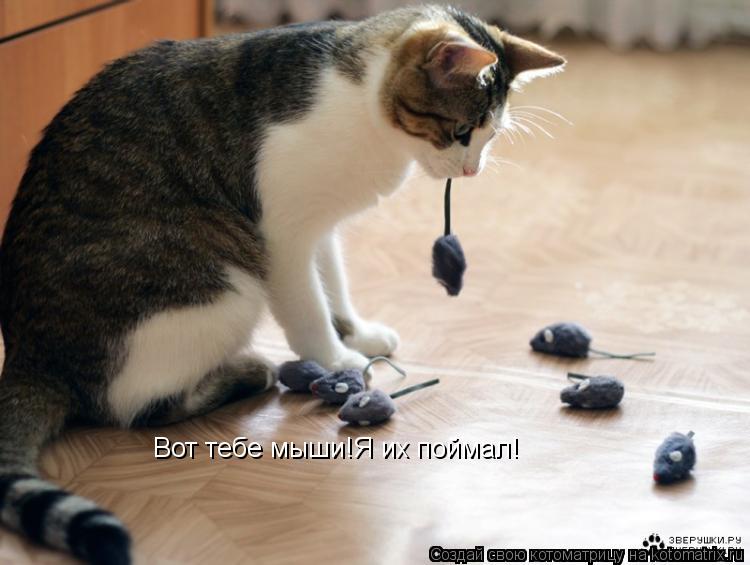Котоматрица: Вот тебе мыши!Я их поймал!