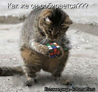 Котоматрица: Как же он собирается???