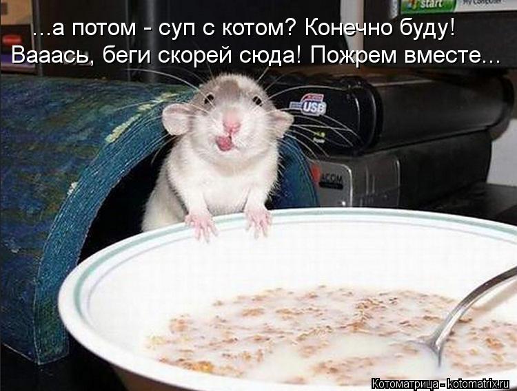 ...а потом - суп с котом? Конечно буду! Вааась, беги скорей сюда! Пожрем вместе...... Котоматрица: ...а потом - суп с котом? Конечно буду! Вааась, беги скорей сюда! Пожрем вместе...