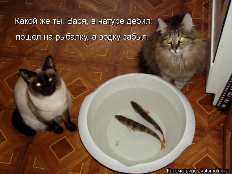 Какой же ты, Вася, в натуре дебил: пошел на рыбалку, а водку забыл.... Котоматрица: Какой же ты, Вася, в натуре дебил: пошел на рыбалку, а водку забыл.