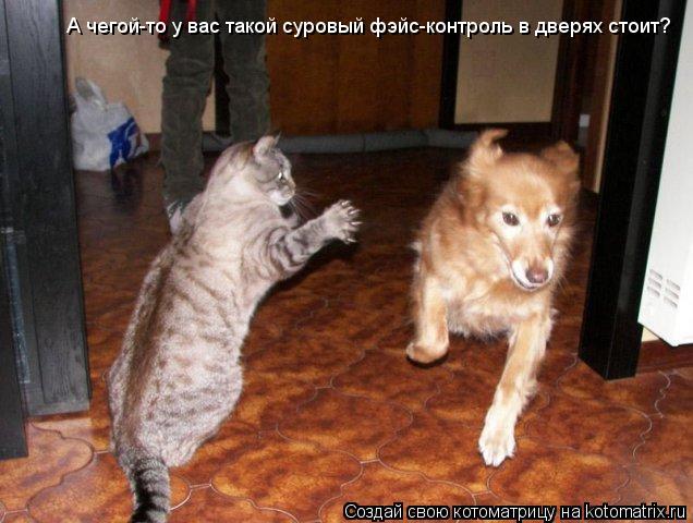 А чегой-то у вас такой суровый фэйс-контроль в дверях стоит?... Котоматрица: А чегой-то у вас такой суровый фэйс-контроль в дверях стоит?