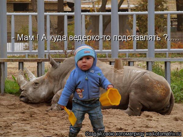 - Мам ! А куда ведерко-то подставлять ?........ Котоматрица: - Мам ! А куда ведерко-то подставлять ?.....