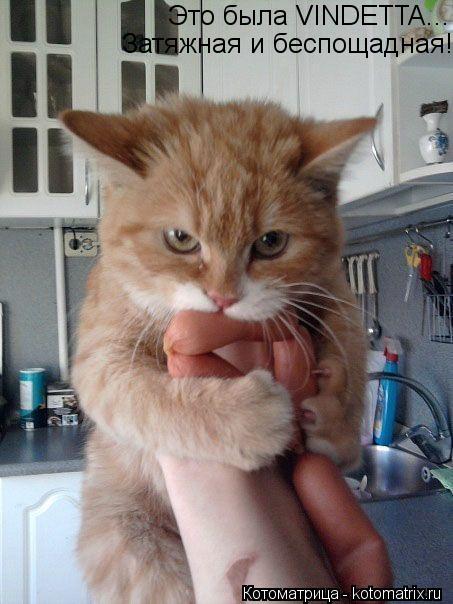 Это была VINDETTA... Затяжная и беспощадная!... Котоматрица: Это была VINDETTA... Затяжная и беспощадная!
