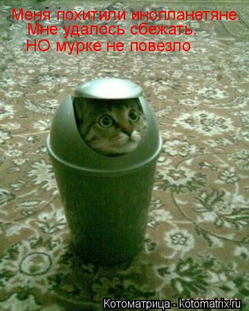 Котоматрица: Меня похитили инопланетяне. Мне удалось сбежать. НО мурке не повезло