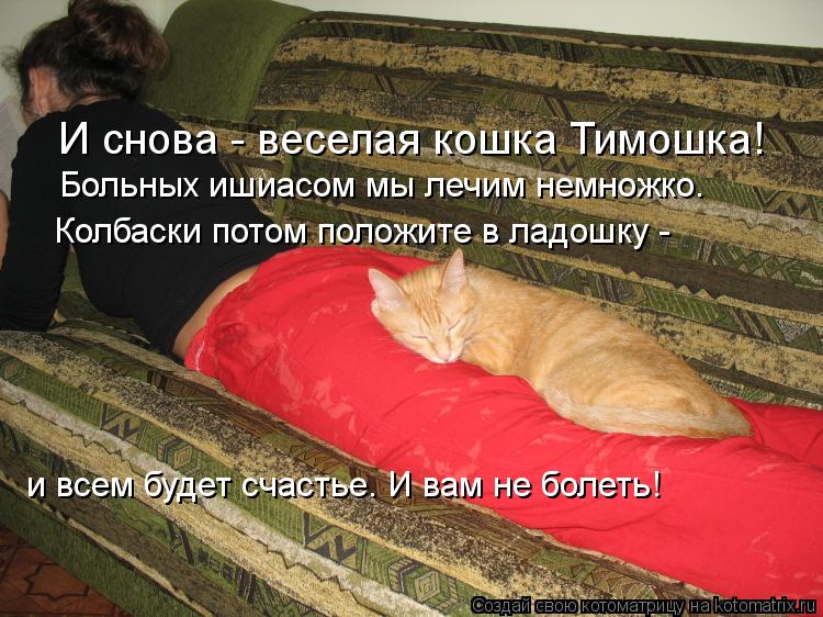 И снова - веселая кошка Тимошка! Больных ишиасом мы лечим немножко. Колбаски потом положите в ладошку... Котоматрица: И снова - веселая кошка Тимошка! Больных ишиасом мы лечим немножко. Колбаски потом положите в ладошку - и всем будет счастье. И вам не болеть!