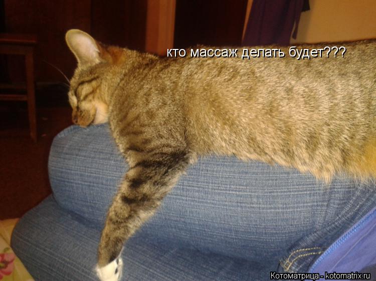 кто массаж делать будет???... Котоматрица: кто массаж делать будет???