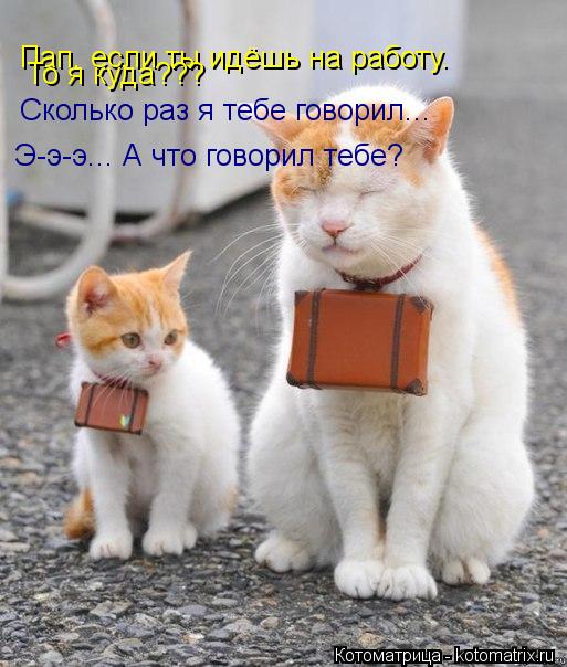 Котоматрица: Пап. если ты идёшь на работу. То я куда??? Сколько раз я тебе говорил... Э-э-э... А что говорил тебе?