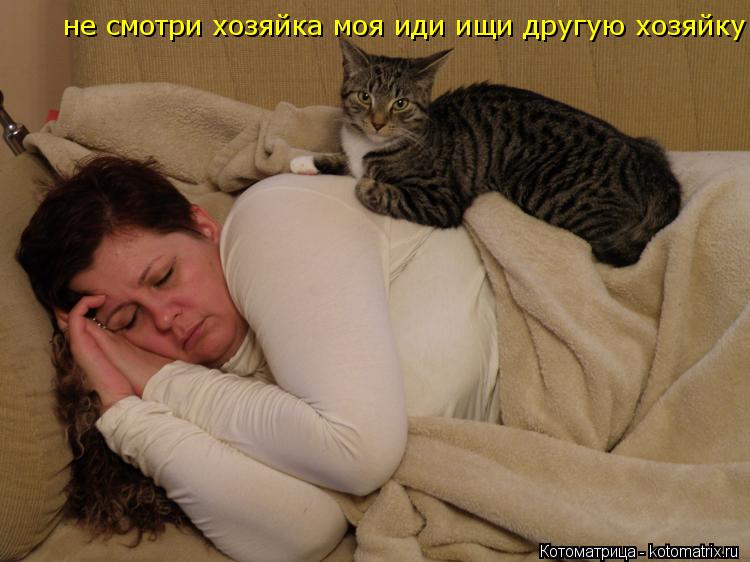 Котоматрица: не смотри хозяйка моя иди ищи другую хозяйку не смотри хозяйка моя иди ищи другую хозяйку