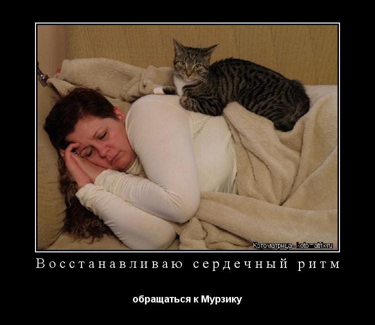 Котоматрица: Восстанавливаю сердечный ритм обращаться к Мурзику