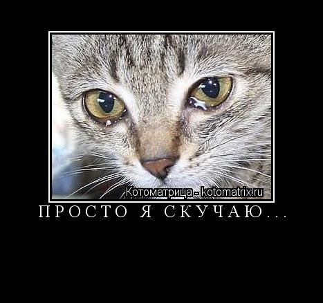 Котоматрица: ПРОСТО Я СКУЧАЮ... 