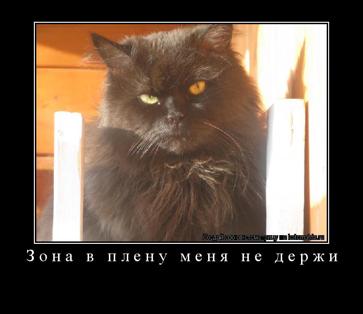 Котоматрица: Зона в плену меня не держи 