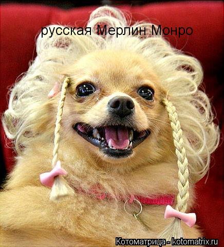 Котоматрица: русская Мерлин Монро