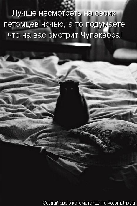 Лучше несмотреть на своих петомцев ночью, а то подумаете что на вас смотрит Чупакабра!... Котоматрица: Лучше несмотреть на своих петомцев ночью, а то подумаете что на вас смотрит Чупакабра!