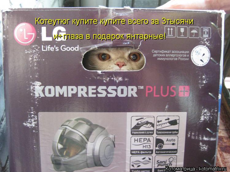 Котеутюг купите купите всего за 3тысячи и+глаза в подарок янтарные!... Котоматрица: Котеутюг купите купите всего за 3тысячи и+глаза в подарок янтарные!