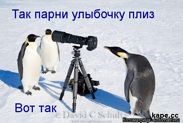 Котоматрица: Так парни улыбочку плиз  Вот так