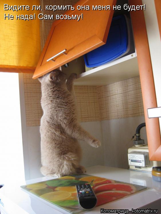 Видите ли, кормить она меня не будет! Не нада! Сам возьму!... Котоматрица: Видите ли, кормить она меня не будет! Не нада! Сам возьму!