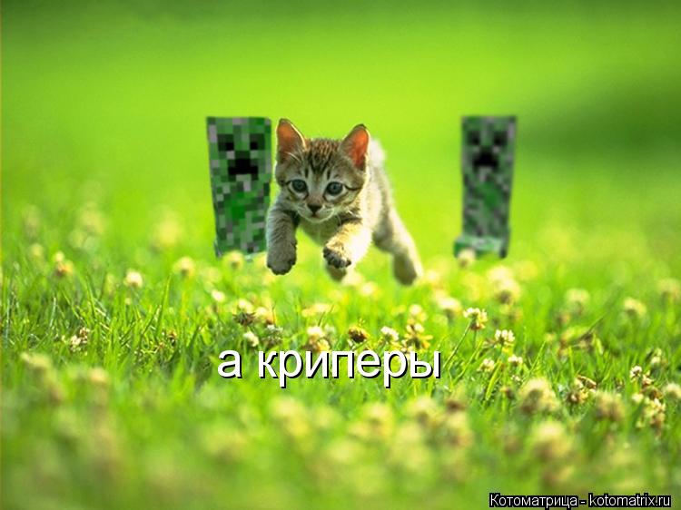 а криперы... Котоматрица: а криперы