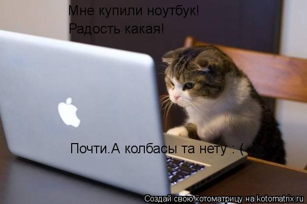 Мне купили ноутбук! Радость какая! Почти.А колбасы та нету : (... Котоматрица: Мне купили ноутбук! Радость какая! Почти.А колбасы та нету : (