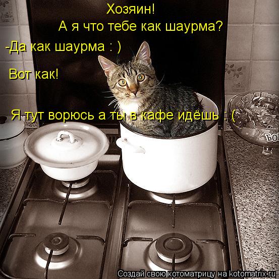 Хозяин! А я что тебе как шаурма? -Да как шаурма : ) Вот как! Я тут ворюсь а ты в кафе идёшь : (... Котоматрица: Хозяин! А я что тебе как шаурма? -Да как шаурма : ) Вот как! Я тут ворюсь а ты в кафе идёшь : (