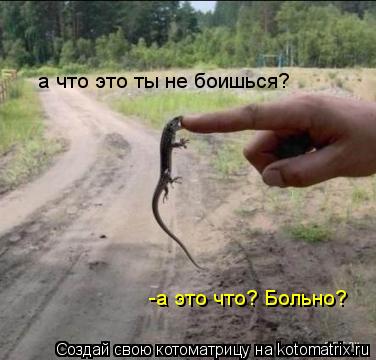 а что это ты не боишься? -а это что? Больно?... Котоматрица: а что это ты не боишься? -а это что? Больно?