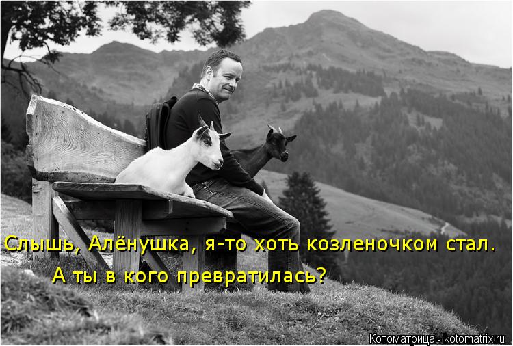 Слышь, Алёнушка, я-то хоть козленочком стал. А ты в кого превратилась?... Котоматрица: Слышь, Алёнушка, я-то хоть козленочком стал. А ты в кого превратилась?